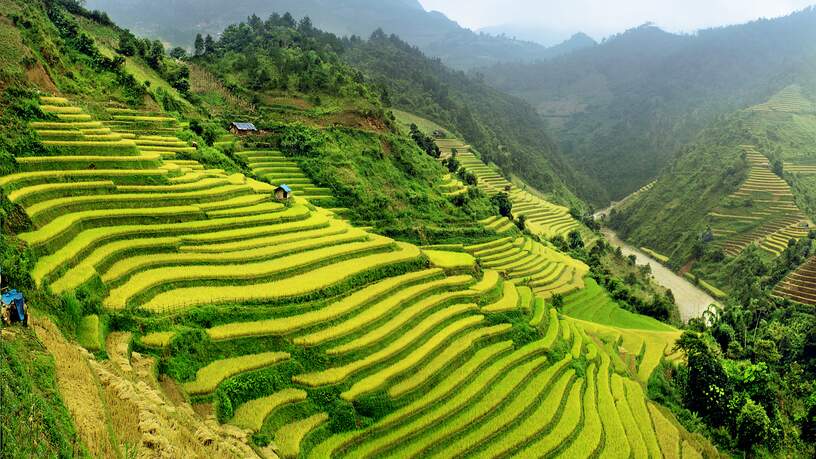 Rijstterassen, Noord-Vietnam
